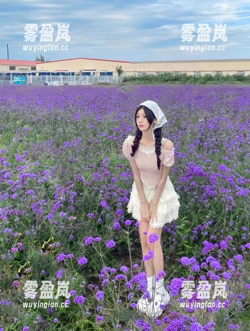 吃瓜网 天天吃瓜网的第一页,资源不仅能吃,还能让人意外上头!