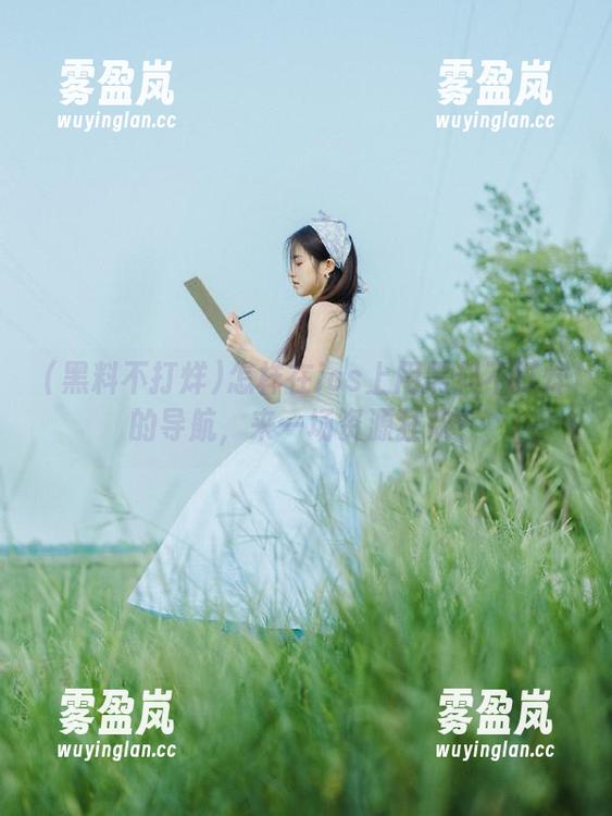 黑料不打烊 怎样在ios上用黑料不打烊的导航,来一场资源狂欢!