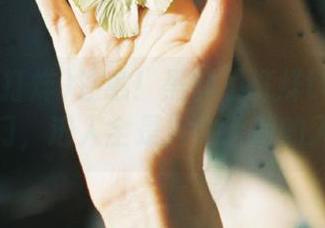 注意！黑料不打烊tttzzz传送门，进入全是火热话题的入口