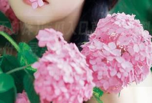 吃瓜入口直达，黑料不打烊，点一份“寻常瓜”就能让你的日常耍耍嘴皮子！