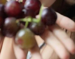 ！坐稳，黑料在线最新更新又来了，翻车现场get了没？